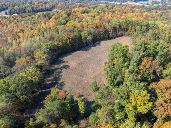 Decaturville, TN 38329,0 Highway 100 #W