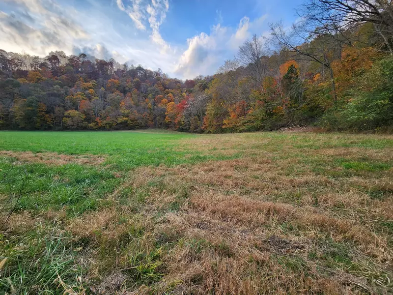 0 Pine Lick Rd, Whitleyville, TN 38588