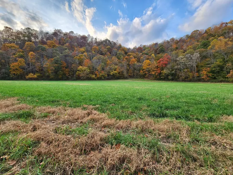 0 Pine Lick Rd, Whitleyville, TN 38588