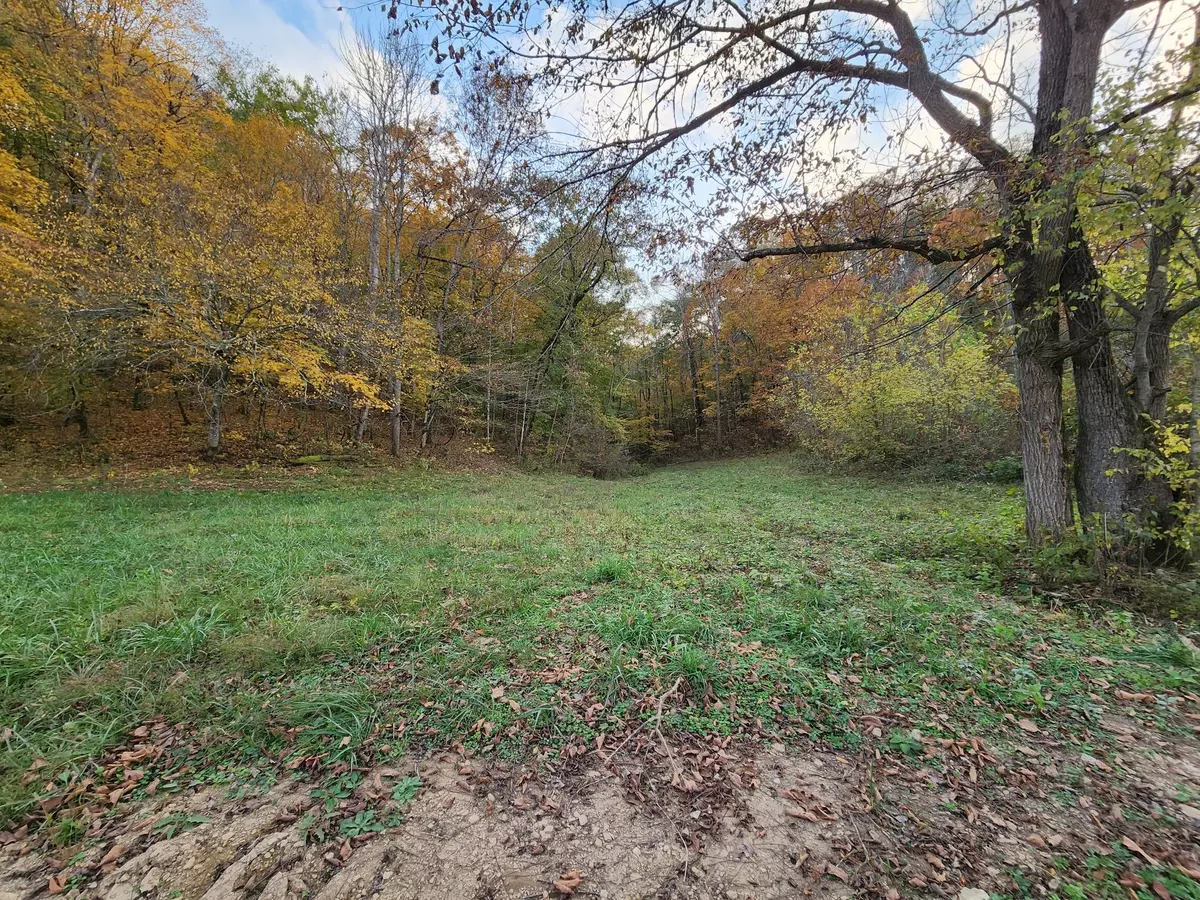 Whitleyville, TN 38588,0 Pine Lick Rd