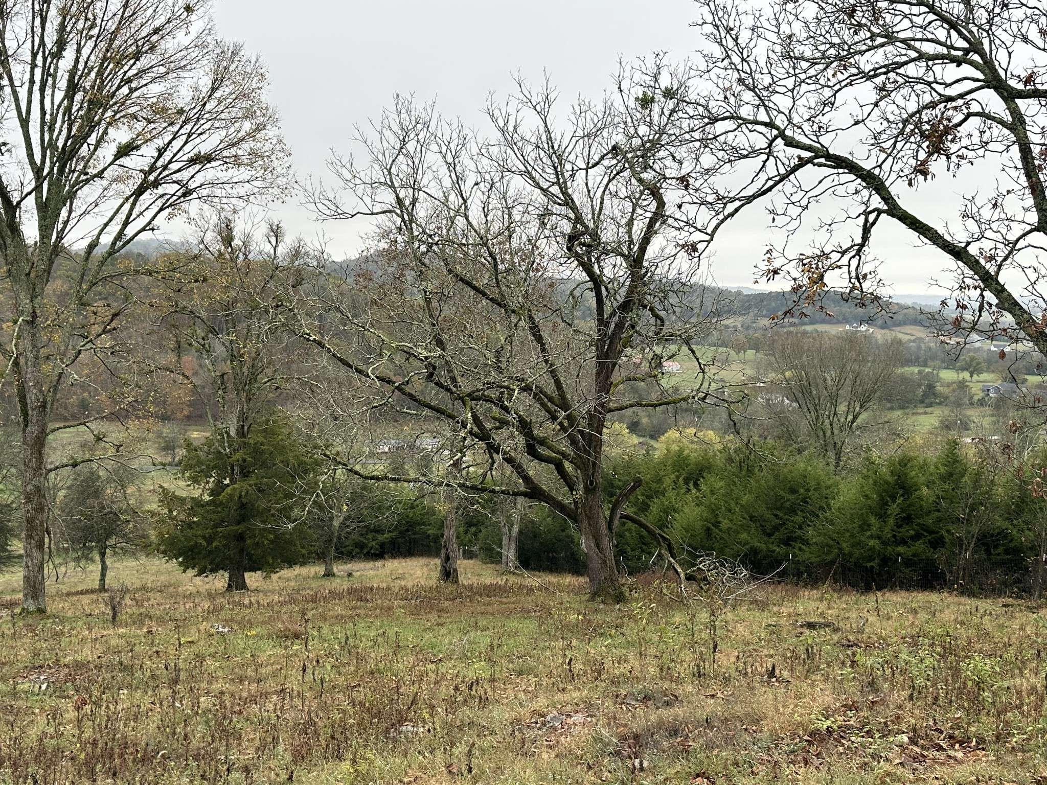 0 Woodmore Hollow Lane, Hartsville, TN 37074