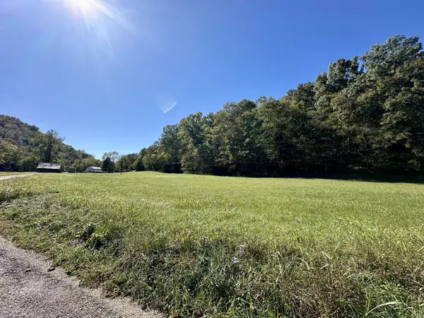 Pleasant Shade, TN 37145,0 Carver Hollow Lane