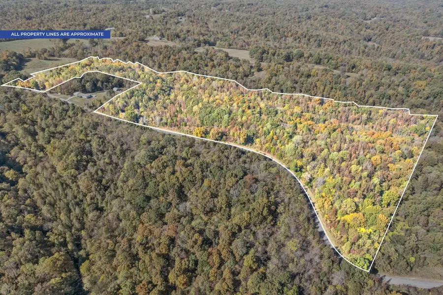 0 Vaughn Lane, Indian Mound, TN 37079