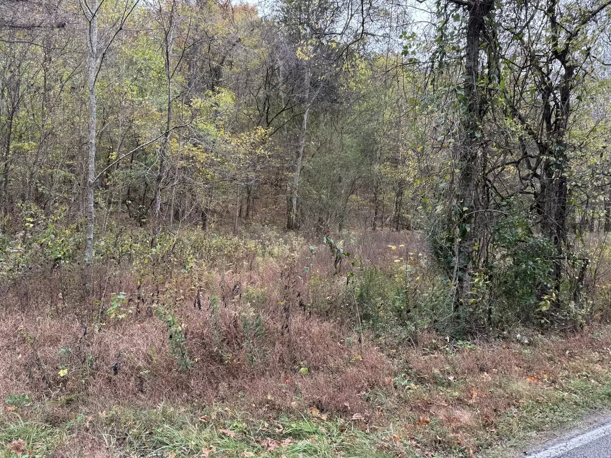 Linden, TN 37096,0 Denton Rd