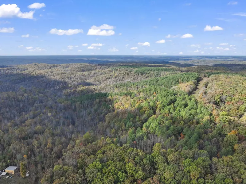 0 Ridgetop Rd, Hampshire, TN 38461