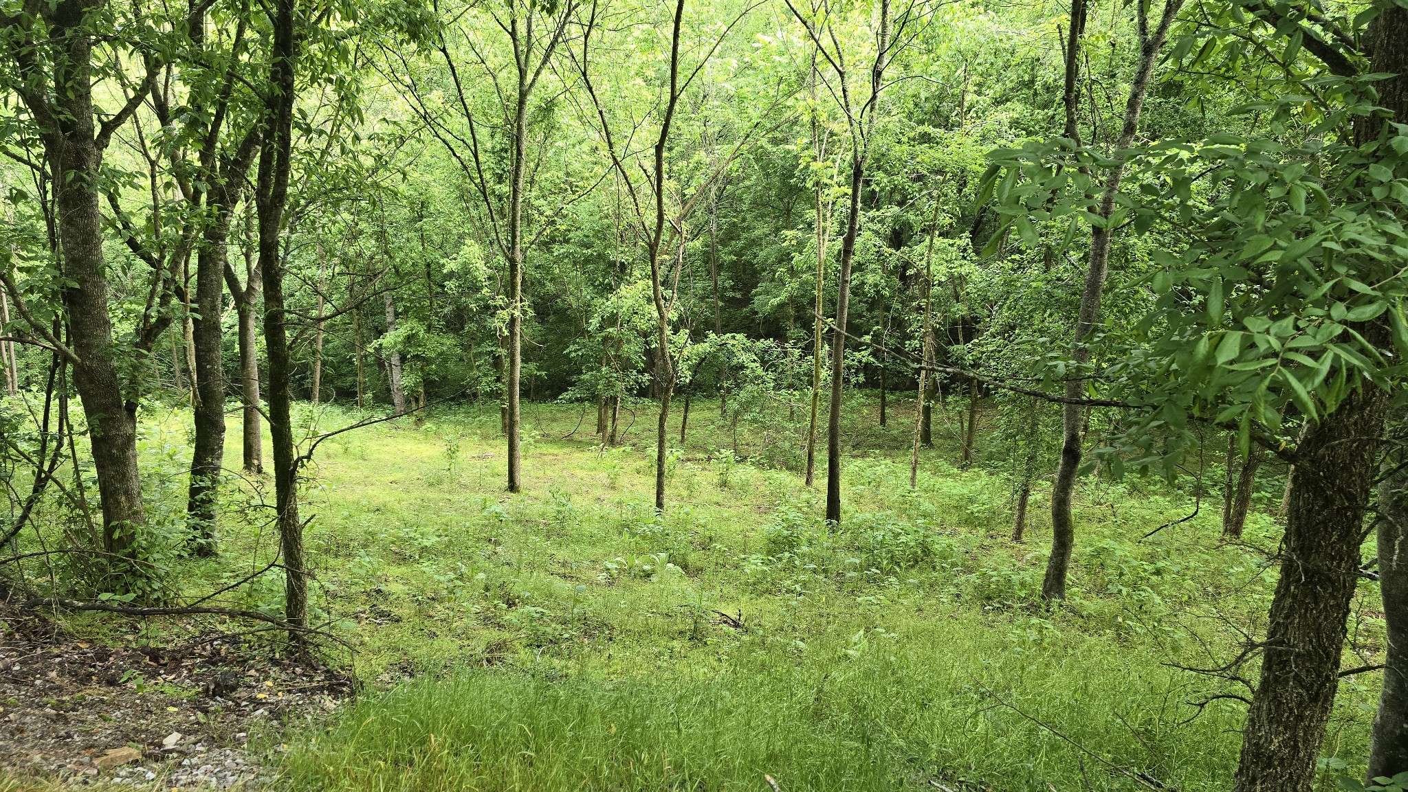 85 Blackberry Ridge Way, Smithville, TN 37166