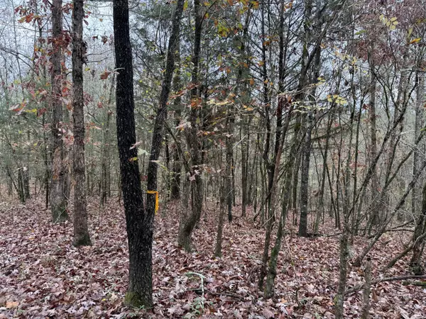 Delano, TN 37325,0 Anne Margaret Road