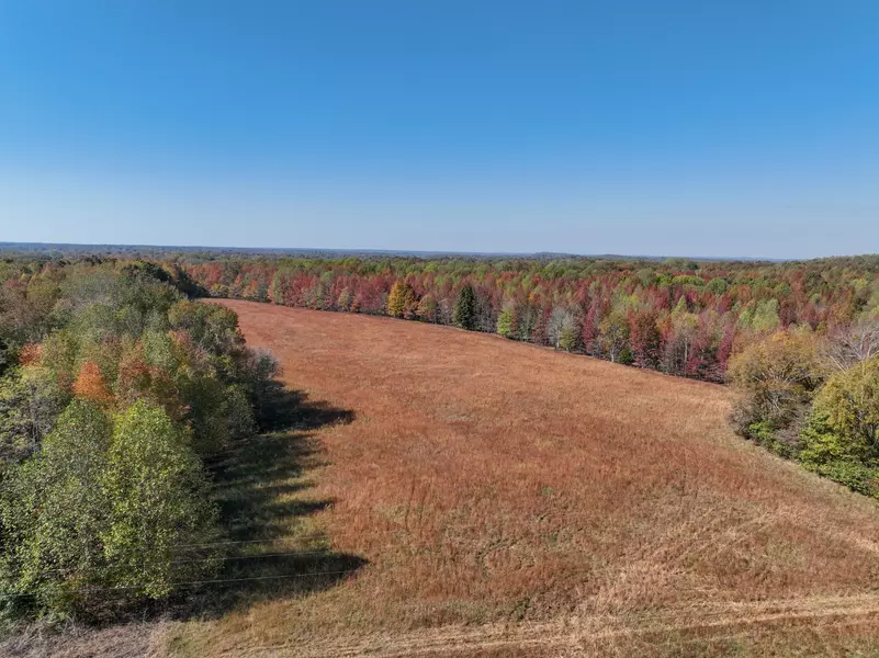0 Morrow Branch Rd, Lynnville, TN 38472