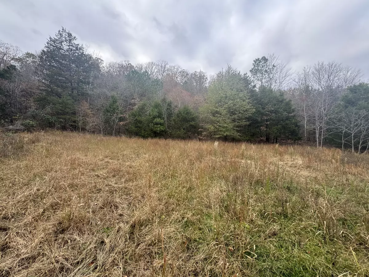 Hohenwald, TN 38462,0 Tracy Rd