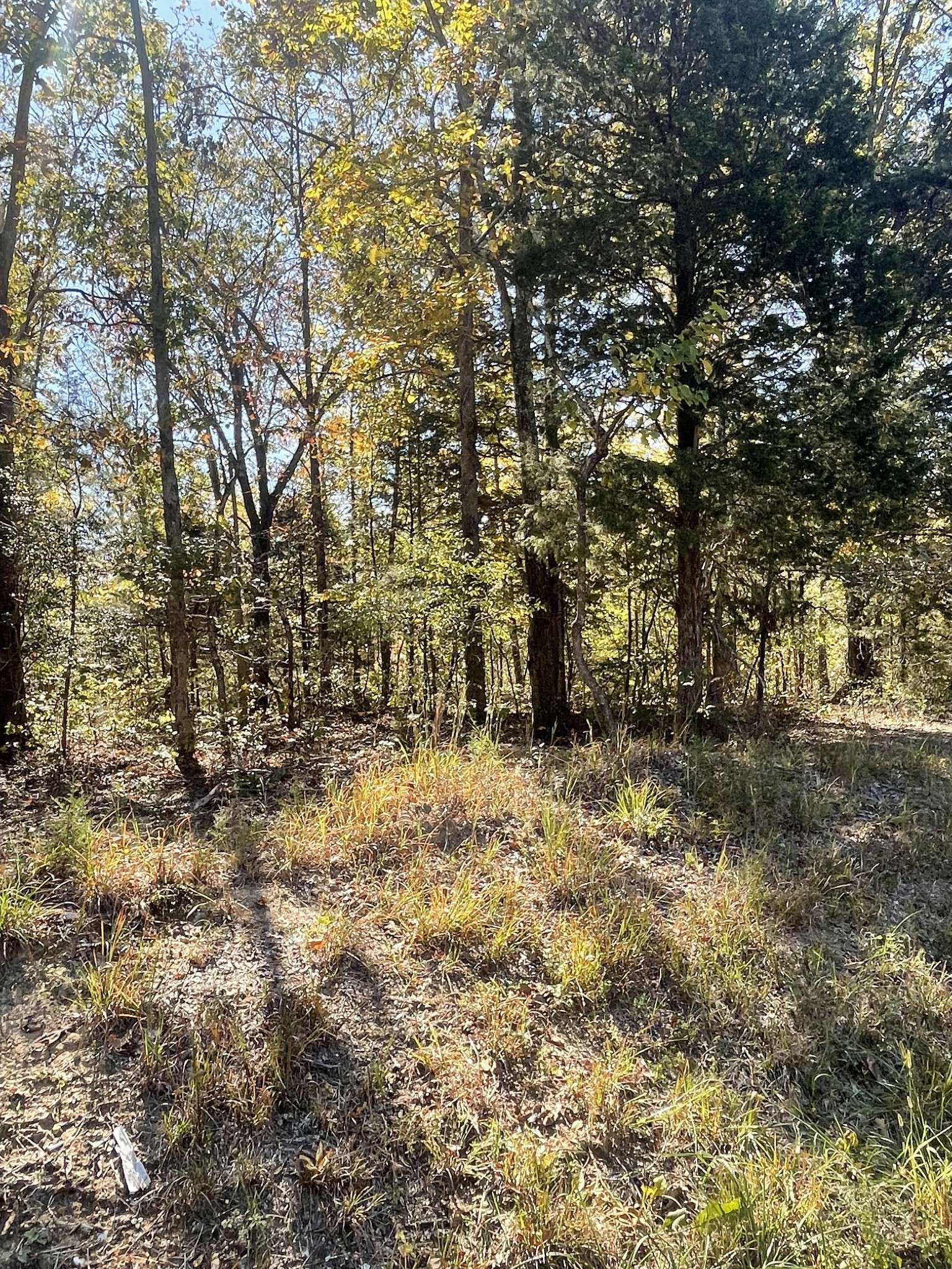 Dickson, TN 37055,0 Rocky Drive