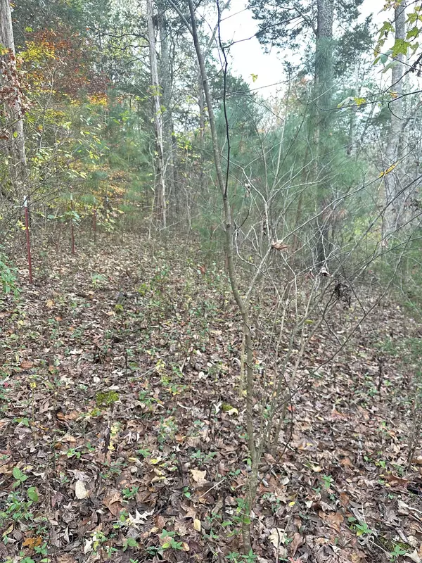 Dover, TN 37058,427 The Trace