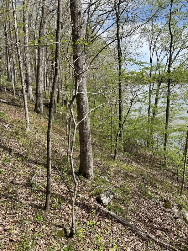 Indian Mound, TN 37079,0A Patricia CIrcle