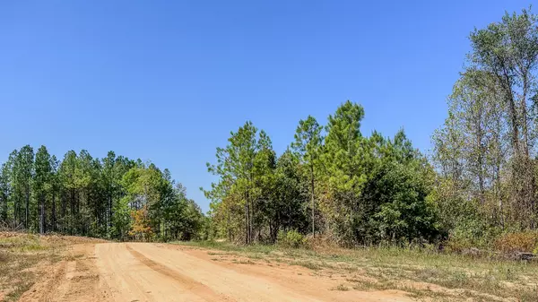 Stewart, TN 37175,0 Hurricane Road #NE