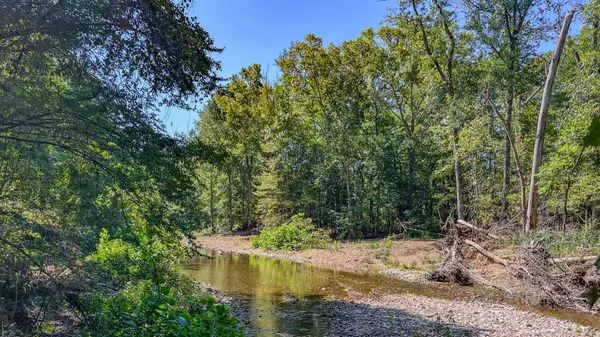 Stewart, TN 37175,0 Hurricane Road #SE