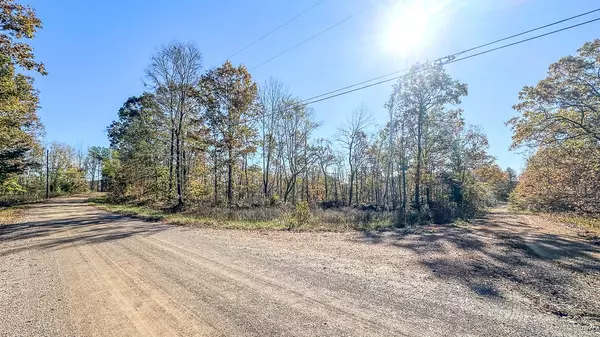 Stewart, TN 37175,0 Timber Twist Lane