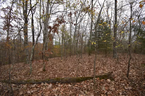 Lobelville, TN 37097,0 Depriest Bend Rd