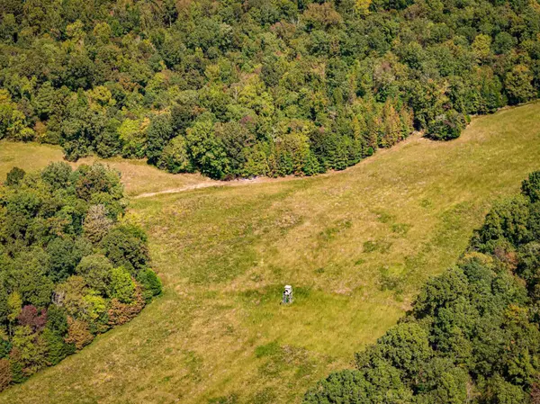 Parsons, TN 38363,2642 Brodies Landing Rd