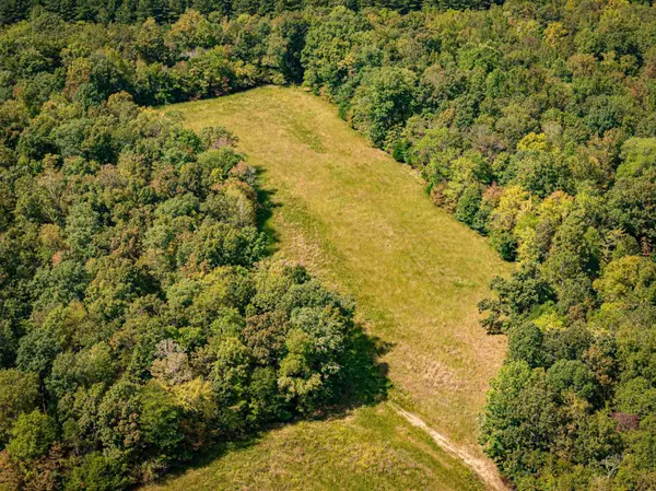 Parsons, TN 38363,2642 Brodies Landing Rd