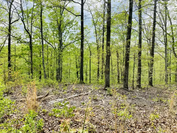 Stewart, TN 37175,47 Ridge Top Road