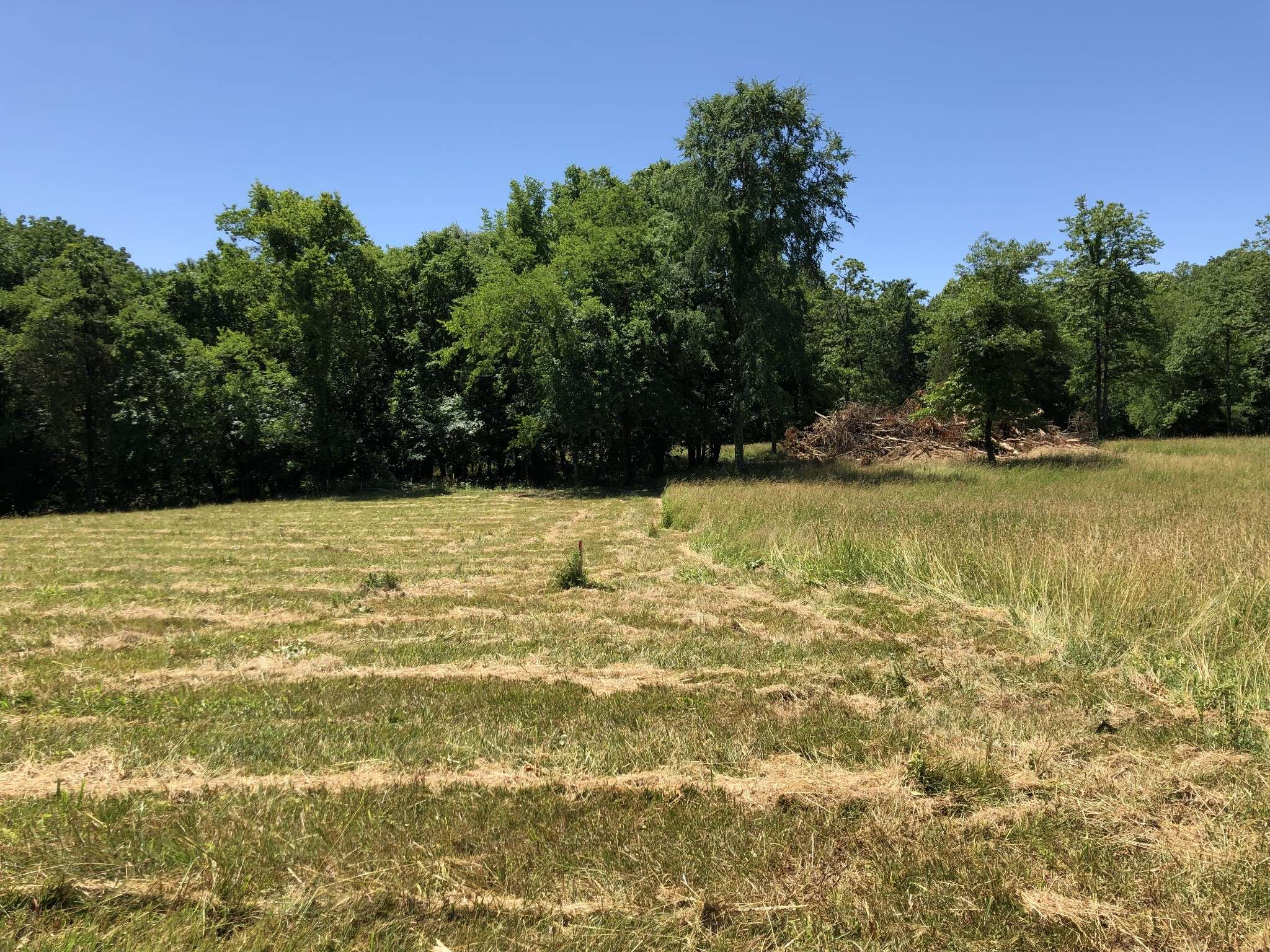 689 Wallace Rd, Gallatin, TN 37066
