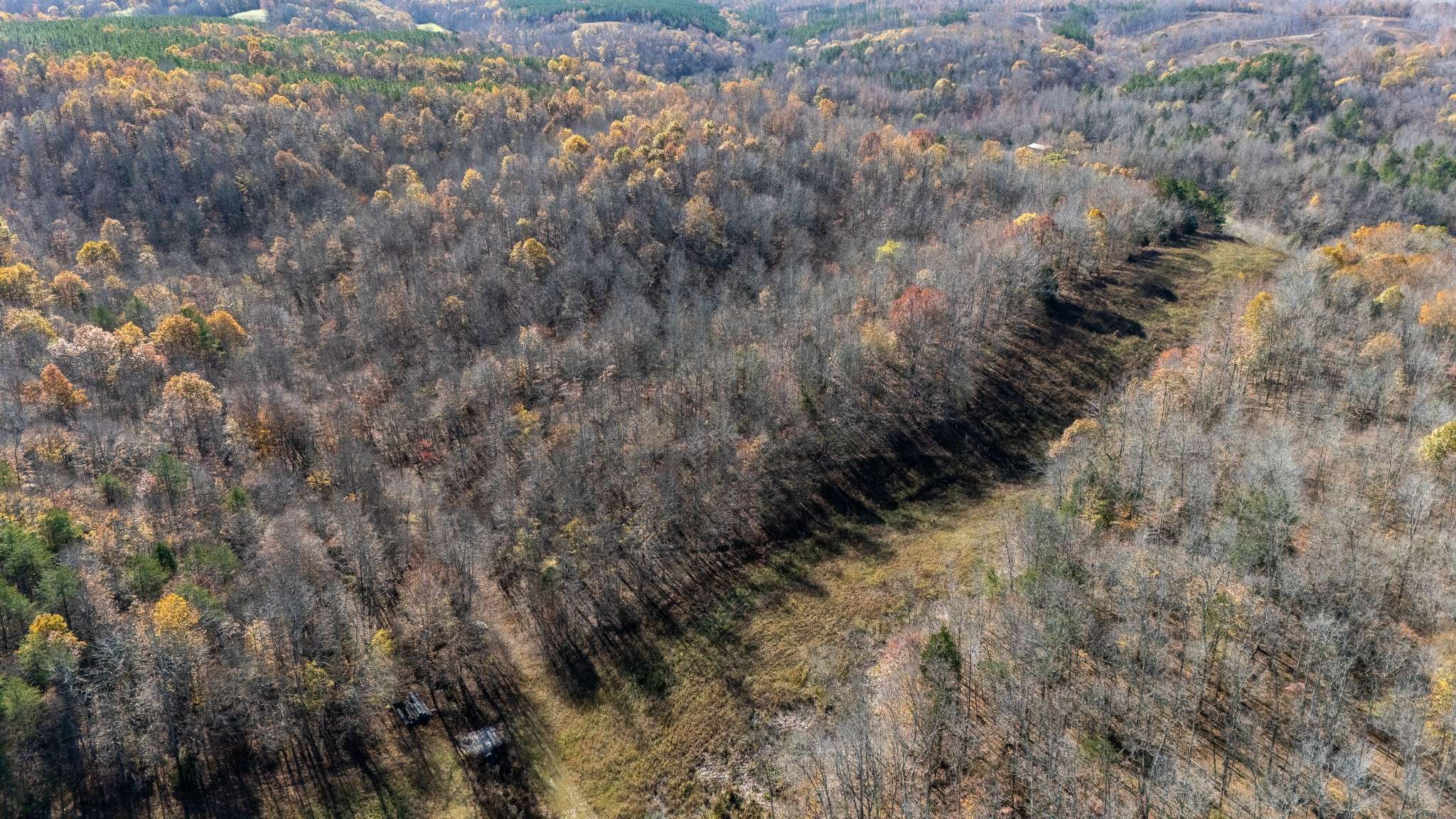 Waynesboro, TN 38485,0 Moccasian Creek Rd