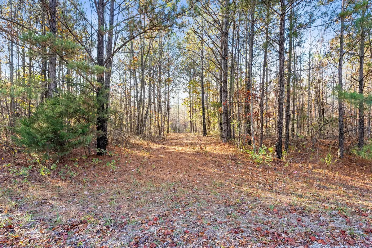 Belvidere, TN 37306,0 Old Shook Road