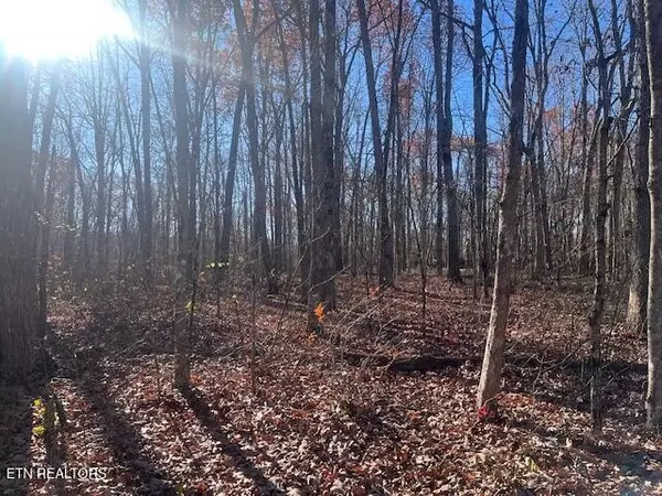 0 Sawmill Road, Monterey, TN 38574