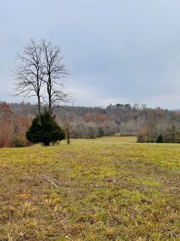 0 Matthews Hollow Rd, Waverly, TN 37185