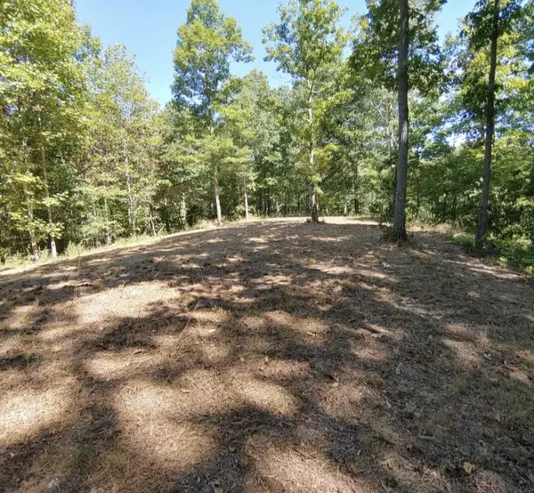 0 Hidden Highllands Ct,  Mc Ewen,  TN 37101