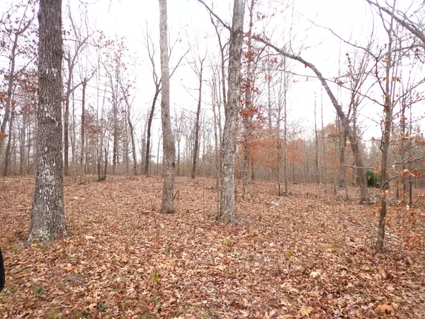 Waverly, TN 37185,0 Hillcrest Road