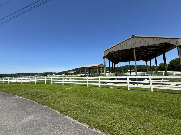 Clifton, TN 38425,384 Duck Blind Rd