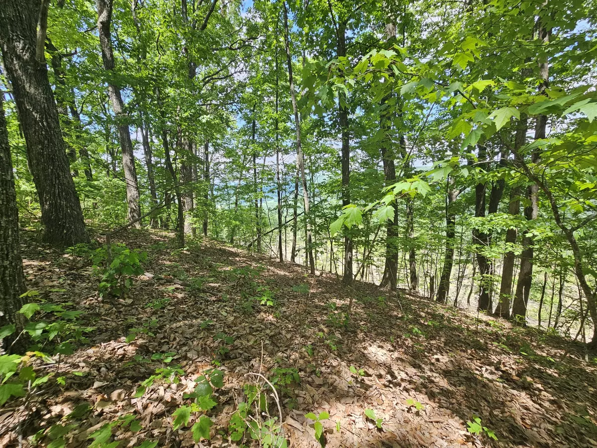 Altamont, TN 37301,15 Higgenbotham Turnpike