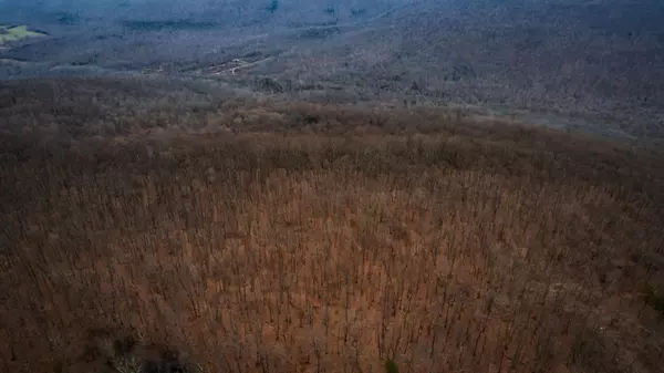 Altamont, TN 37301,14 Higgenbotham Turkpike