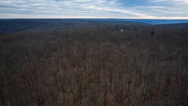 Altamont, TN 37301,14 Higgenbotham Turkpike