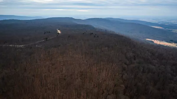 Altamont, TN 37301,14 Higgenbotham Turkpike