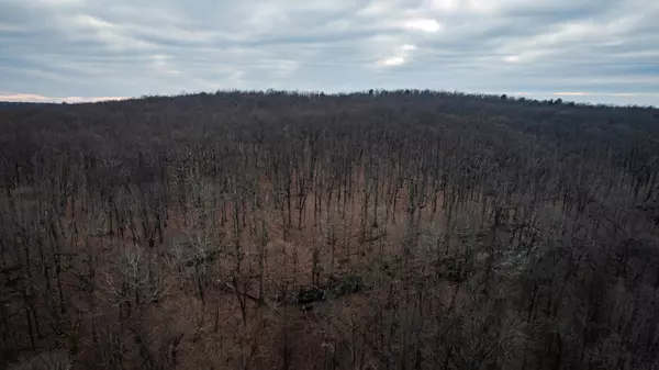 Altamont, TN 37301,14 Higgenbotham Turkpike
