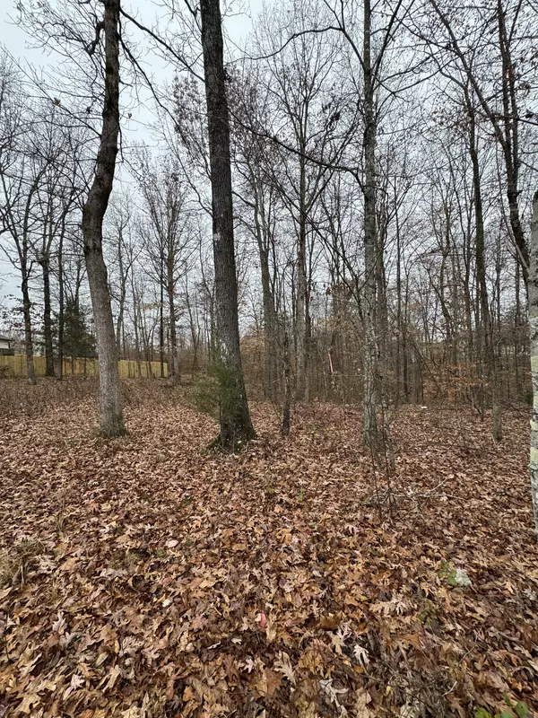 Waverly, TN 37185,10 Bill Ct