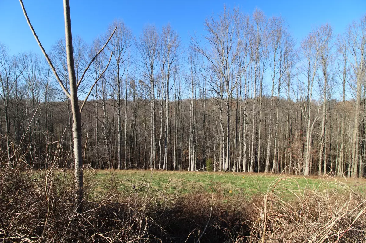 Lafayette, TN 37083,211 Coley Court