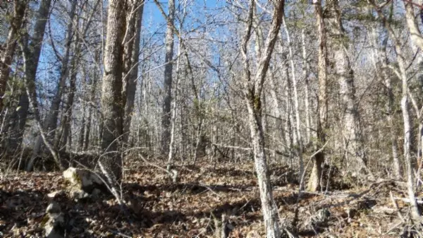 Jamestown, TN 38556,0 Cheyenne Drive