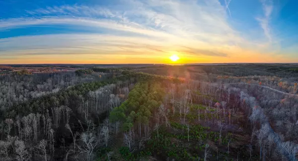 Waverly, TN 37185,0 Bear Hollow Dr