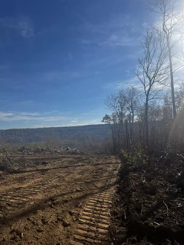 Beersheba Springs, TN 37305,0 Northcutts Cove Road