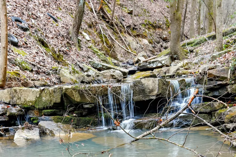 1042 Rocky Top Lane, Sale Creek, TN 37373