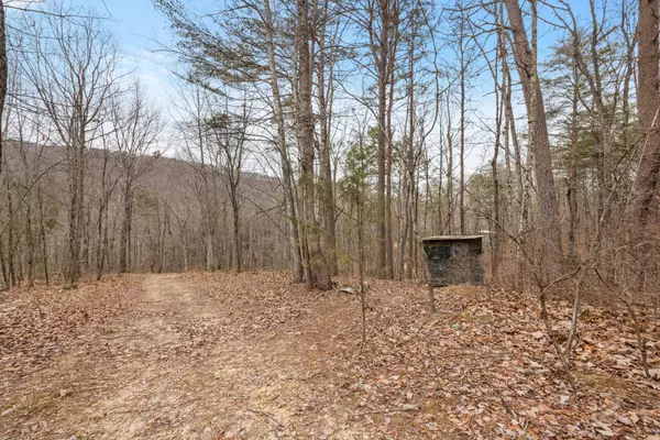 Sale Creek, TN 37373,1042 Rocky Top Lane