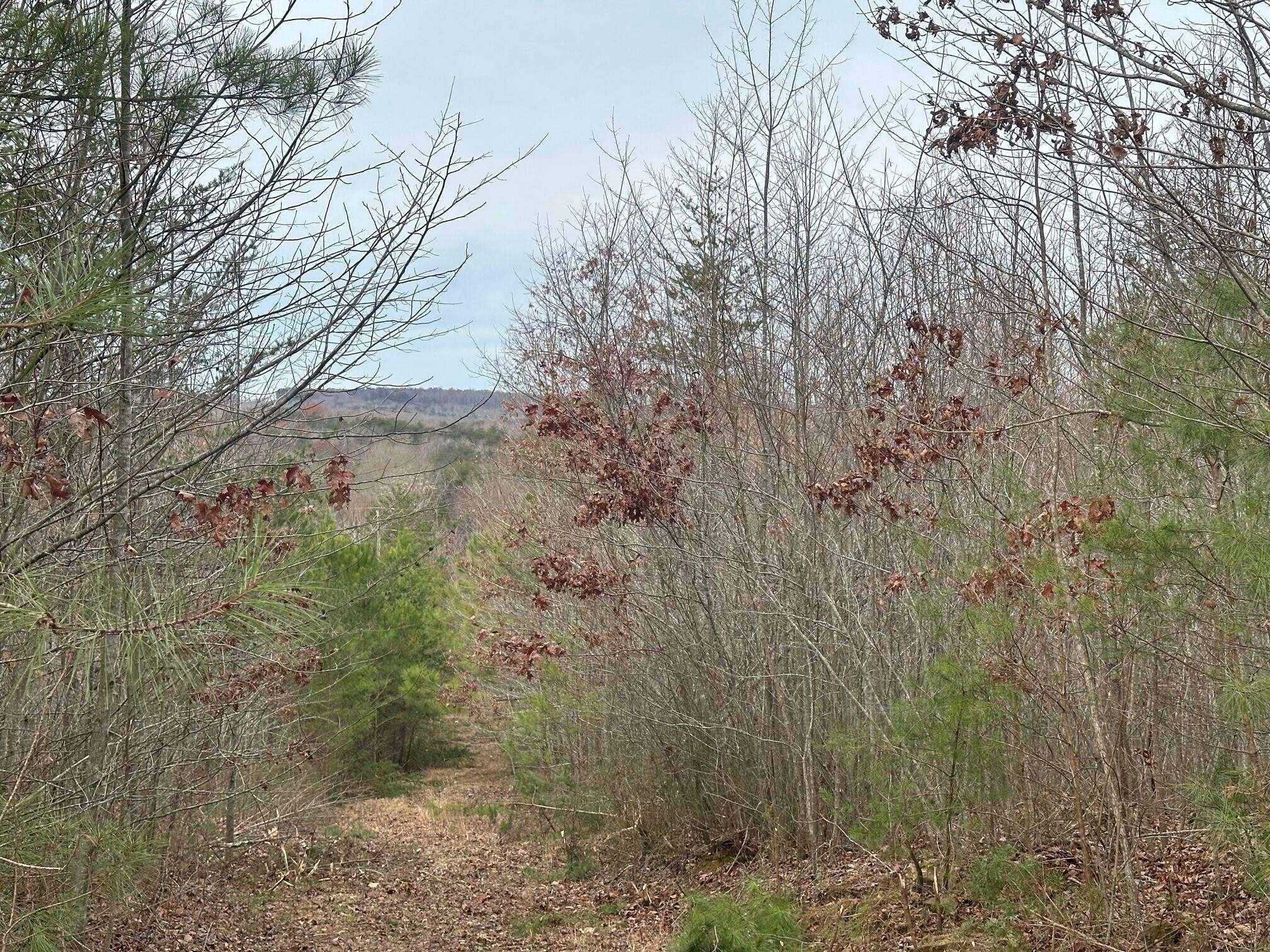 Tracy City, TN 37387,523 Browns Hollow Road