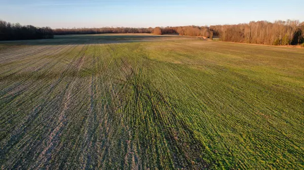 Middleton, TN 38052,2385 Serles Rd