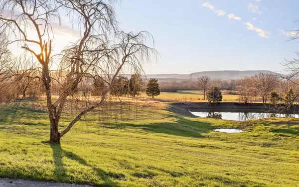 Bryant, AL 35958,158 County Road 677