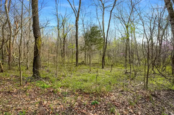 Big Rock, TN 37023,0 Melton Springs Road