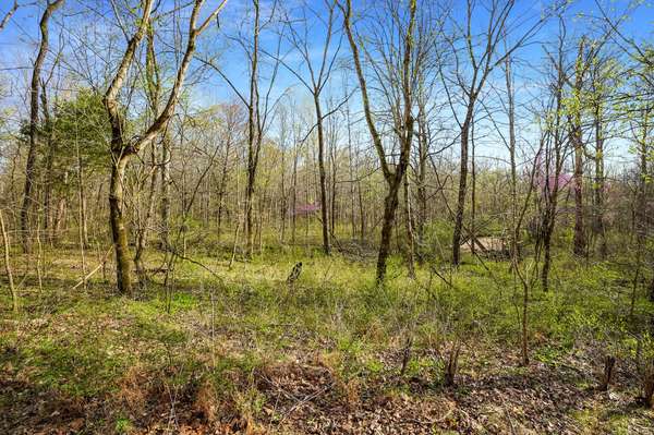 0 Melton Springs Road, Big Rock, TN 37023