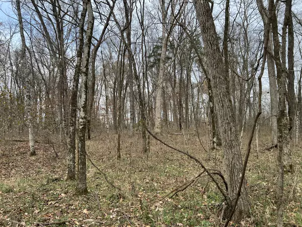 Chapel Hill, TN 37034,1 Pyles Rd