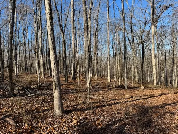Hohenwald, TN 38462,0 Reed Rd